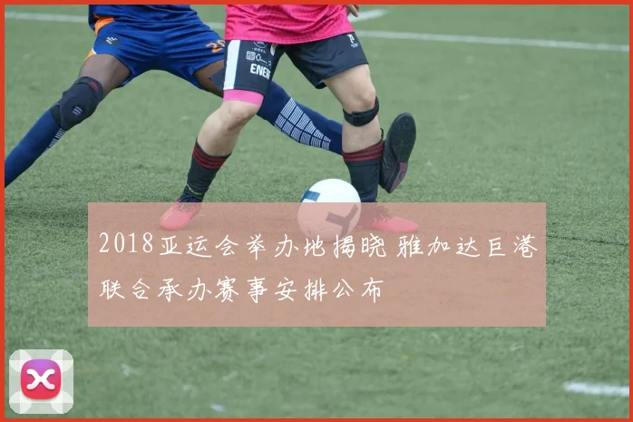 2018亚运会举办地揭晓 雅加达巨港联合承办赛事安排公布