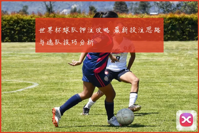 世界杯球队押注攻略 最新投注思路与选队技巧分析