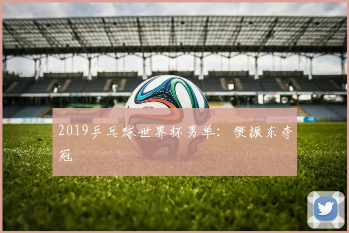 2019乒乓球世界杯男单：樊振东夺冠