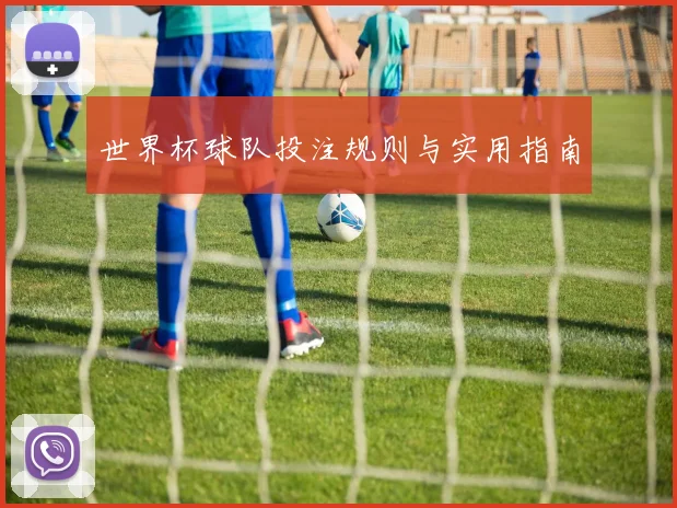 世界杯球队投注规则与实用指南