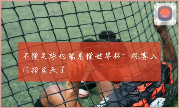 不懂足球也能看懂世界杯：观赛入门指南来了