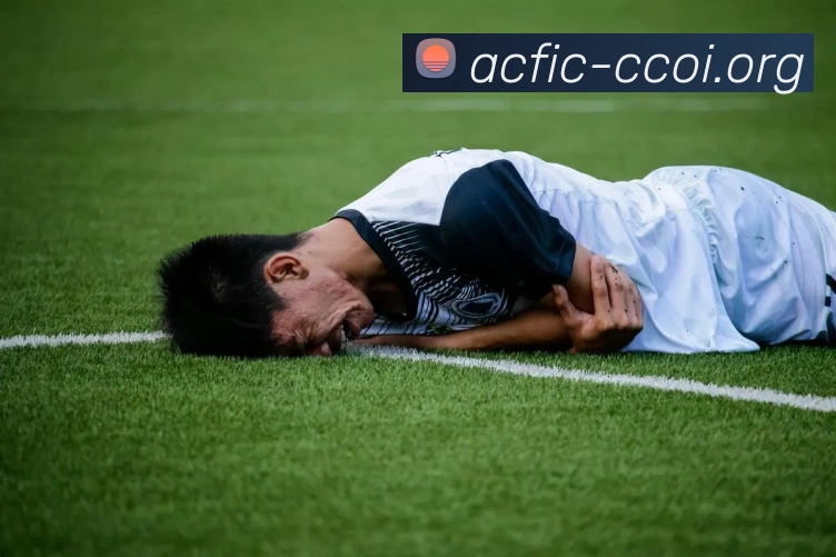 世界杯官方入口服务体系